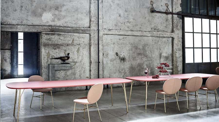 Tacchini furniture kelly c chair pink dining insitu haute living