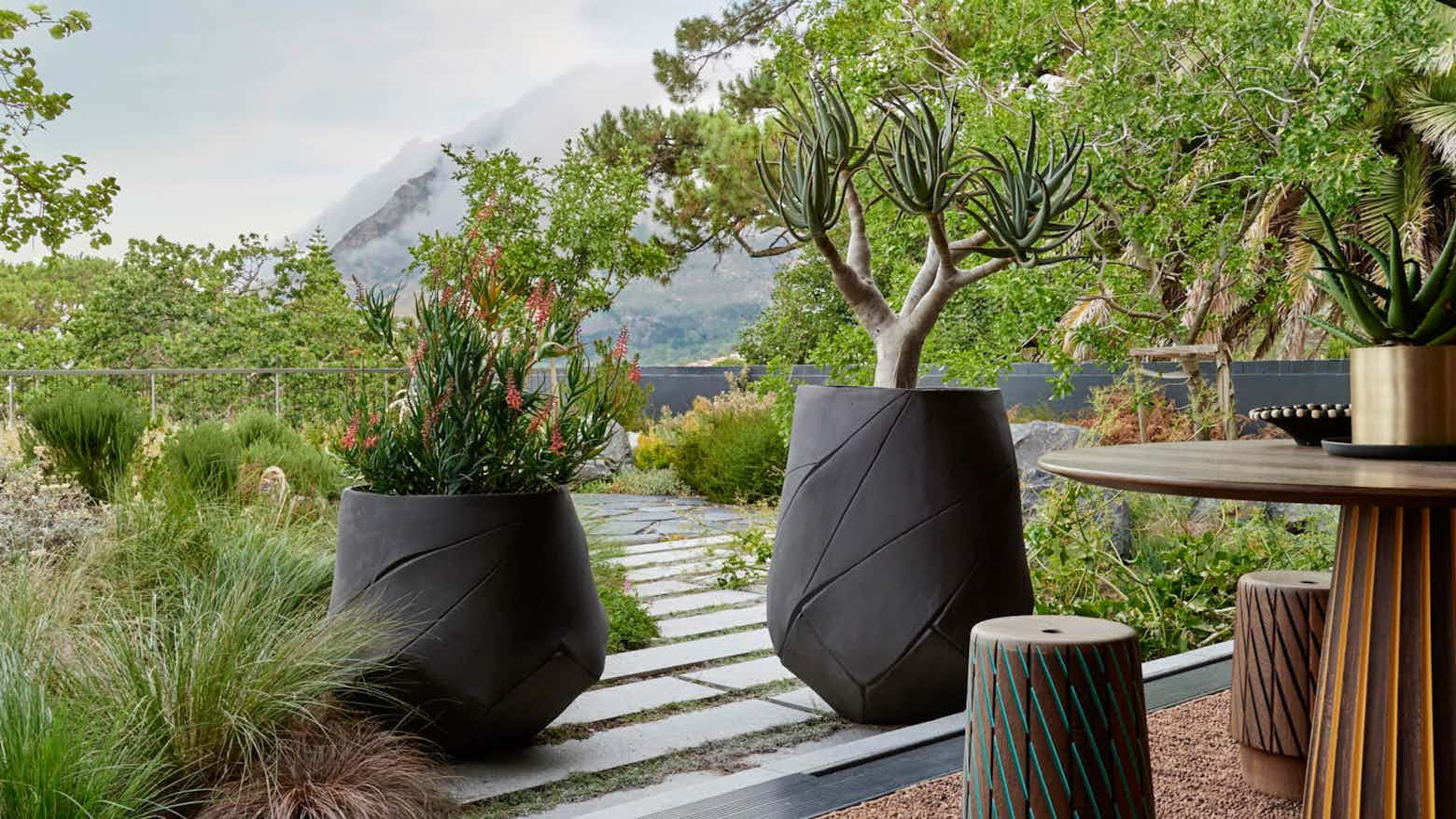 Indigenous Bhaca Planter Collection