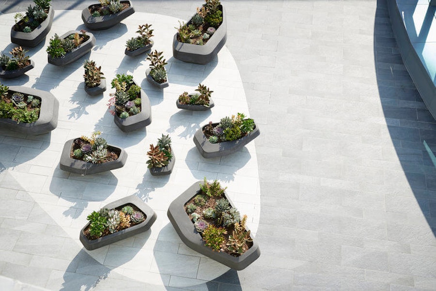 Steen Planter Collection by Planters Haute